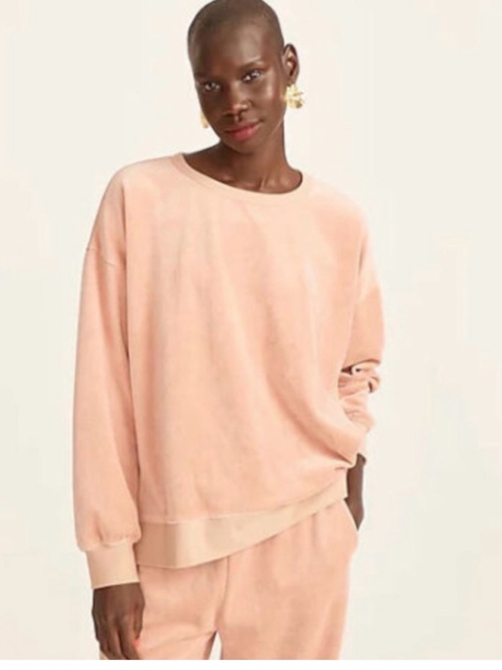 J Crew Velour Top